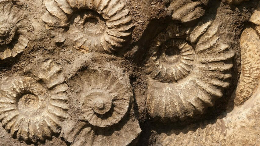 The Evolution of Messaging | dotdigital blog