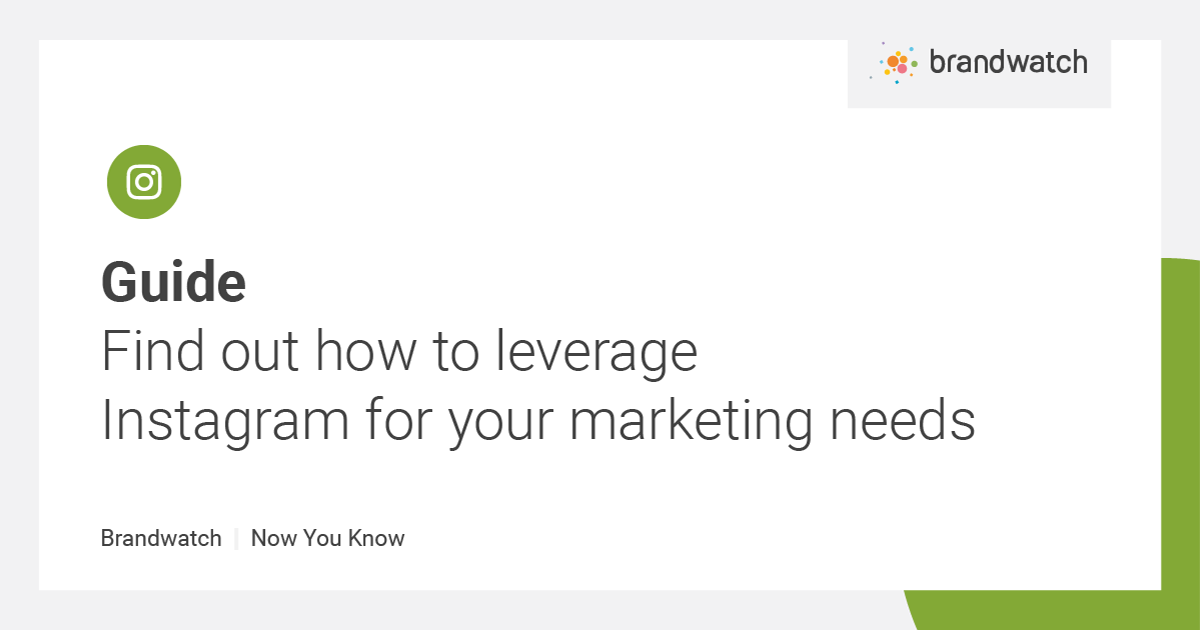 A Guide to Instagram Data