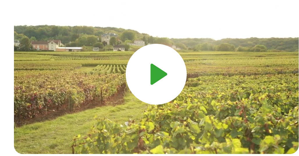 Bed and breakfast doubles revenue