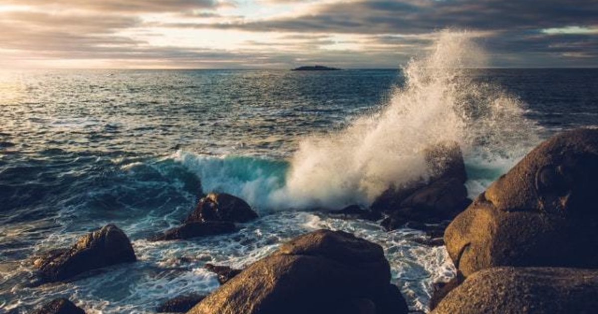 Forecasting Methods: 7 Different Approaches to Predicting Revenue