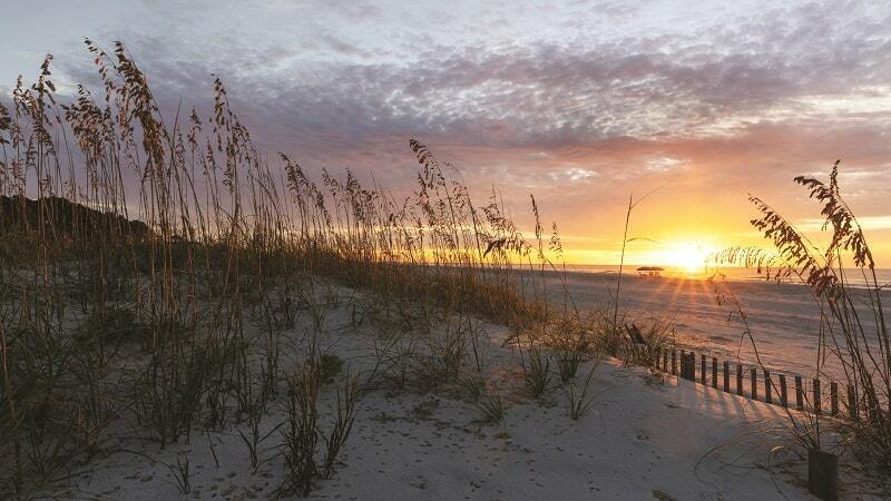 Where Inspiration and Creativity Come to Life - Hilton Head Island