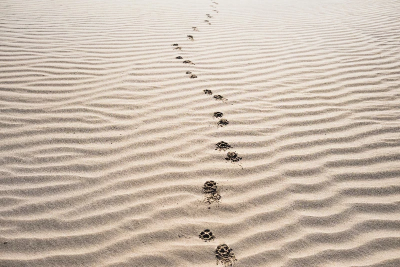 The most simple guide to following up with cold emails.