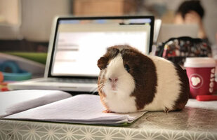 6 Time Management Strategies to Boost Productivity