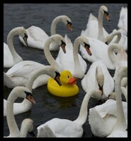 Out-of-the-ordinary Consumer Client Coverage at BLASTmedia