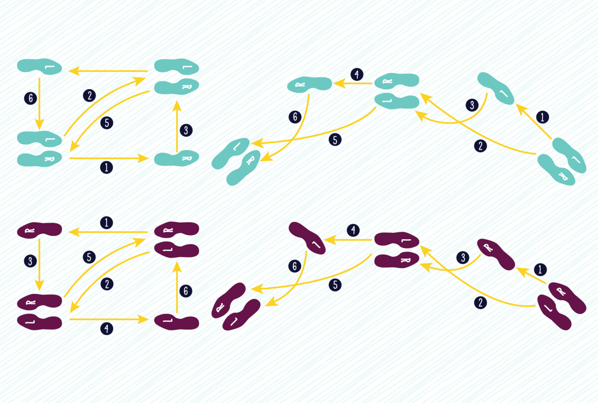 Sales Process Templates: Essential Stages for 8 Common B2B Pipelines