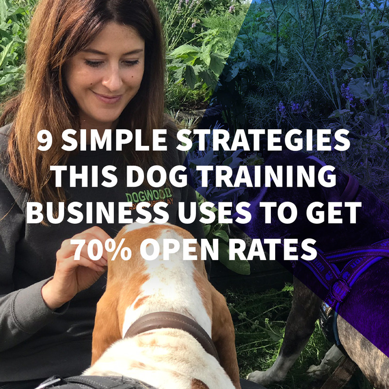 9 Simple Strategies This Dog Training Business Uses to Get 70 Percent Open Rates