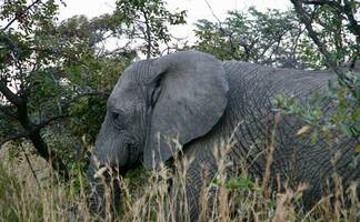 Species360 Gathers Feedback With Pendo | Customer Stories