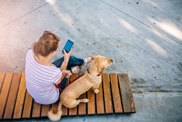 The Ultimate Guide to Freemium