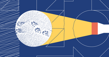 5 essential lead tracking metrics for your business