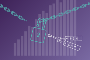 How PIM and DAM Unlock True Scalability for Retail