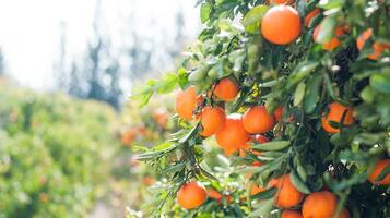 The small retail business guide to spring campaign ideas