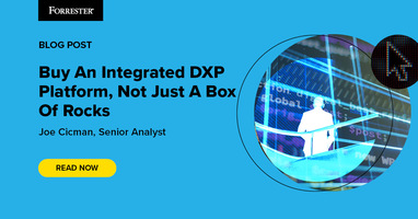 Buy An Integrated DXP Platform, Not Just A Box Of Rocks