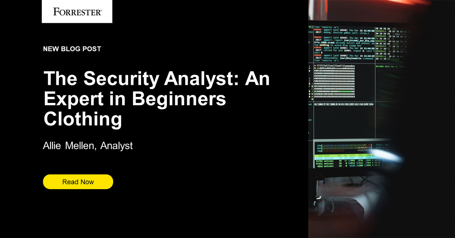 The Security Analyst: An Expert In A Beginner's Clothing
