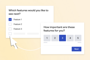 Feature Prioritization Survey