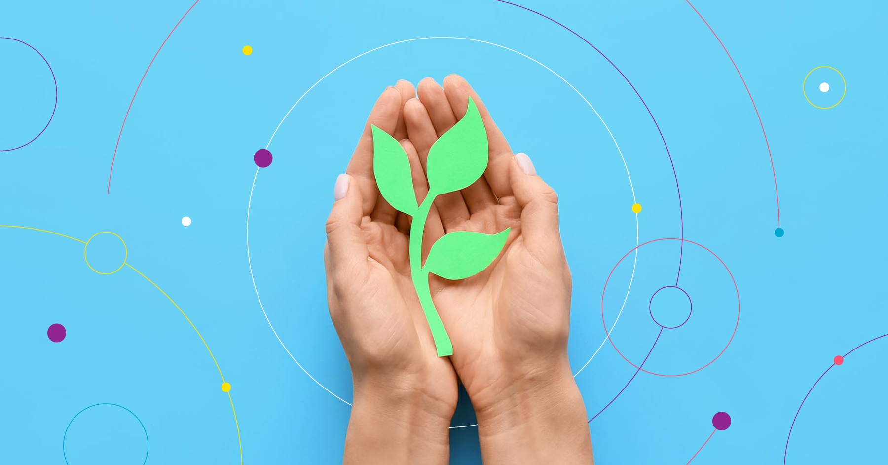 Smartly.io's Path to Becoming a Carbon Neutral Company