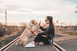 How to Become a Pet Influencer & Collaborate with Top Brands