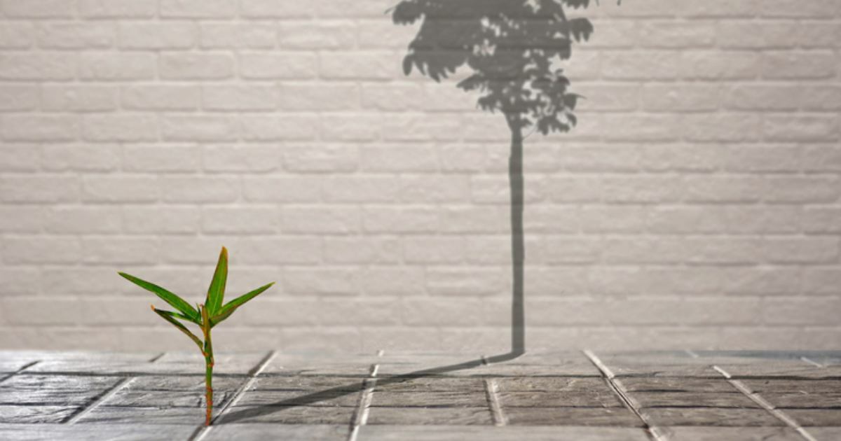 For Outstanding Buyer Experiences, Think Big but Start Small