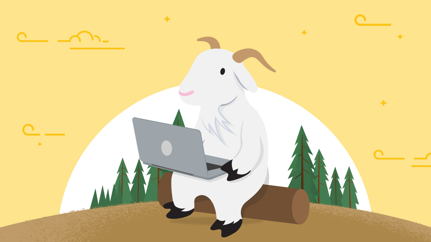 Salesforce Admin Tips: How to Deliver Success for Your Company