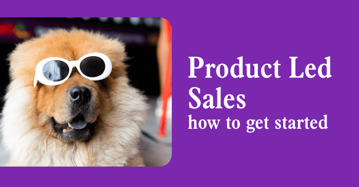 Product Led Sales: what it is and how to get started | Correlated Blog