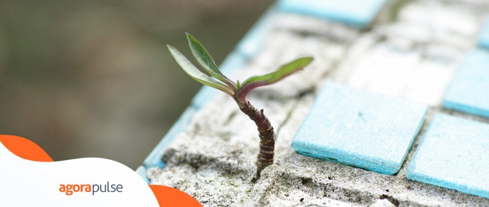 Survival Tips for a Social Media Agency in a Tough Sector