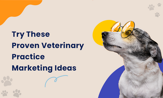 Nailing the Website: Try These Proven Veterinary Practice Marketing Ideas