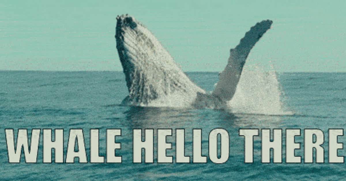 Cold-calling scripts for actual human beings