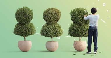 Introducing Evergreen Sequences and More Reply Updates