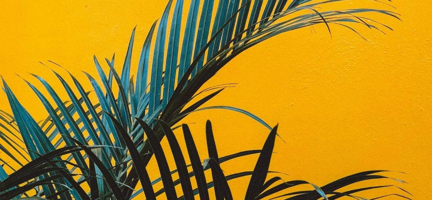 New study: Wide disconnect between brand and consumer perceptions