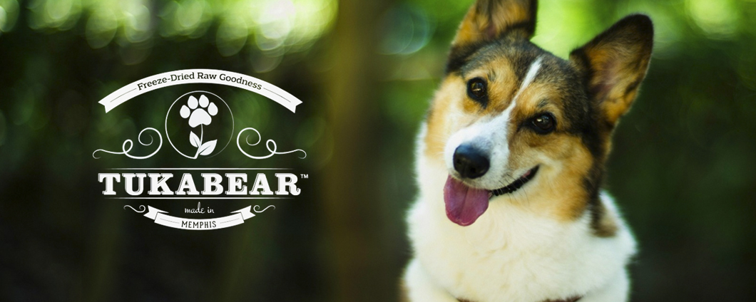 Tukabear Celebrates Love Your Pet Day – 2.20.2016