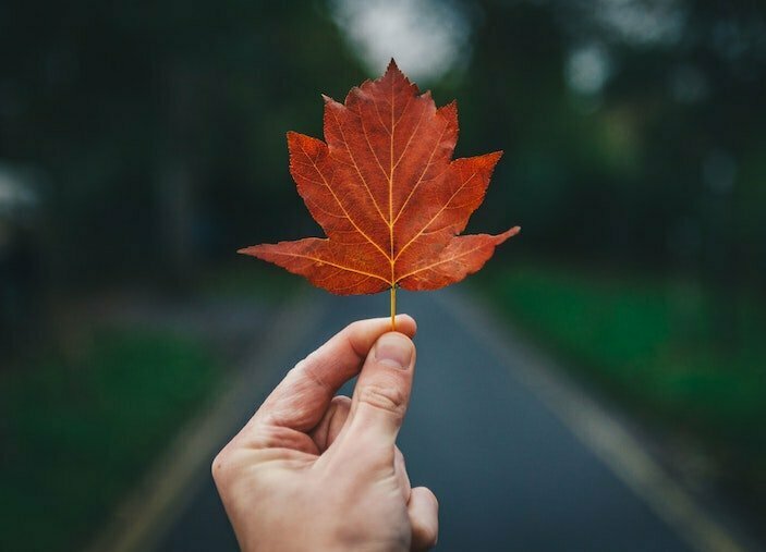 64 Creative November Marketing Ideas (+Examples!)