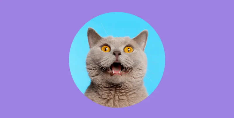 Hacks to Master Your Email