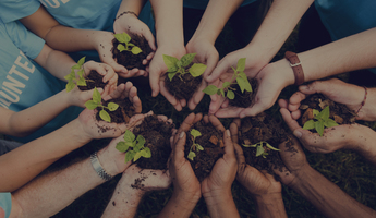 Nonprofit Email Marketing: The Ultimate Guide