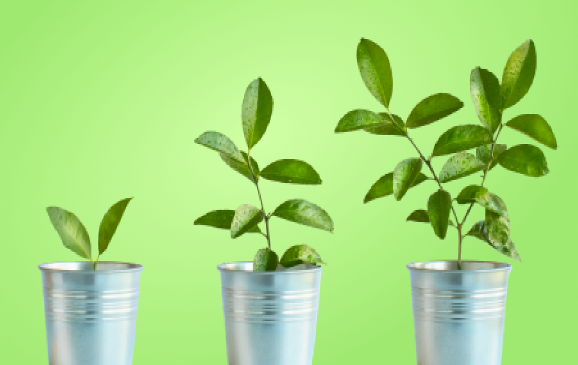 Invigorate Your Online Fundraising With an Intelligent Virtual Assistant