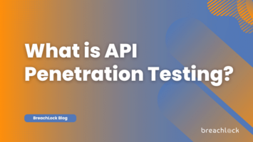 What is API Penetration Testing?