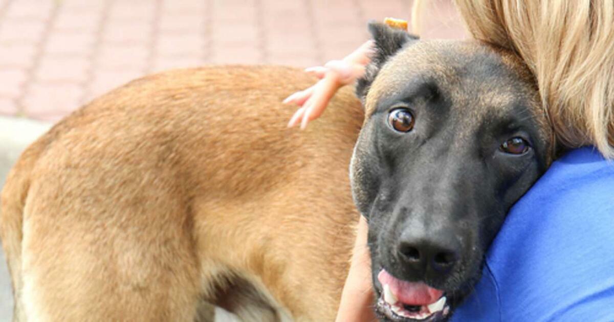 5 Quick Tips for Boosting Your Nonprofit's Outreach Efforts