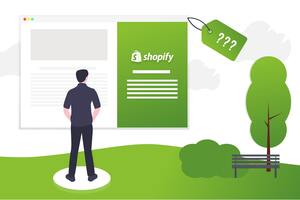 How Much Does It Cost To Build A Website On Shopify