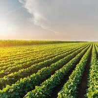 Agriconomie | SugarCRM UK