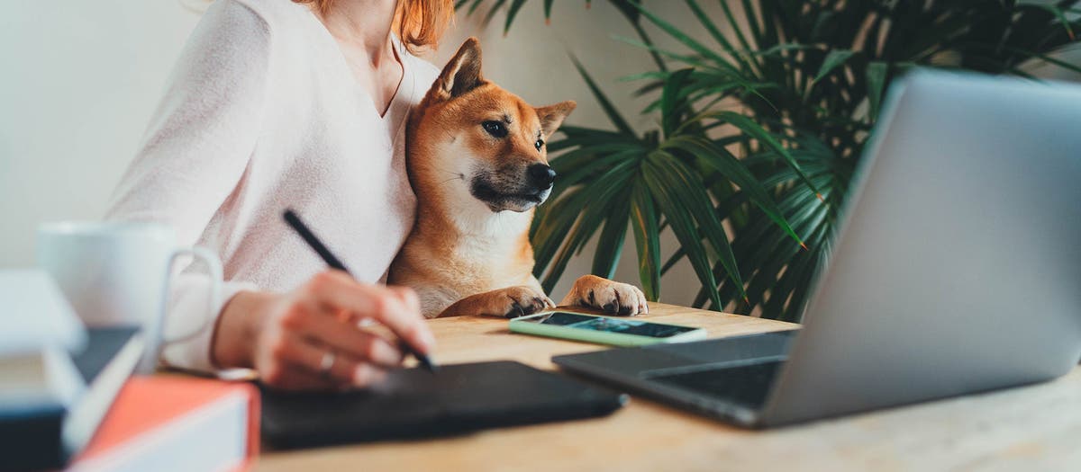 Say 'buh-bye' to WFH stigma: COVID-19 proves remote workers can still be productive