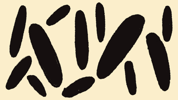 Mailchimp Invests in Employees Through Profit Sharing