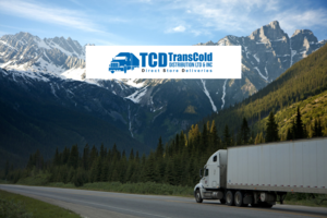 TransCold Distribution Future-Proofs HR processes with Signeasy