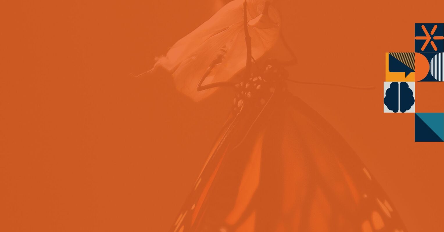 Strategy is a Plan for Change. Let's Embrace That.