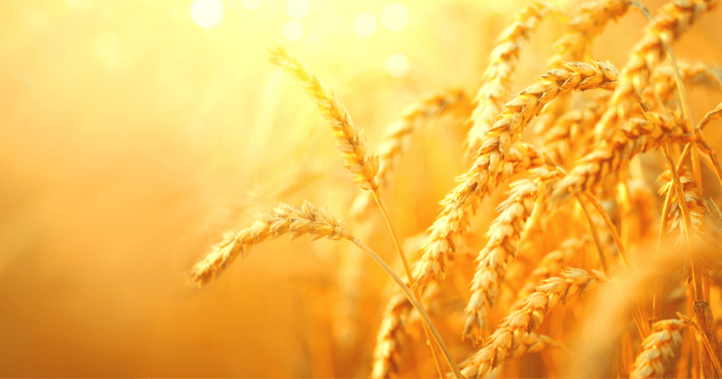 How to take your field marketing strategy online