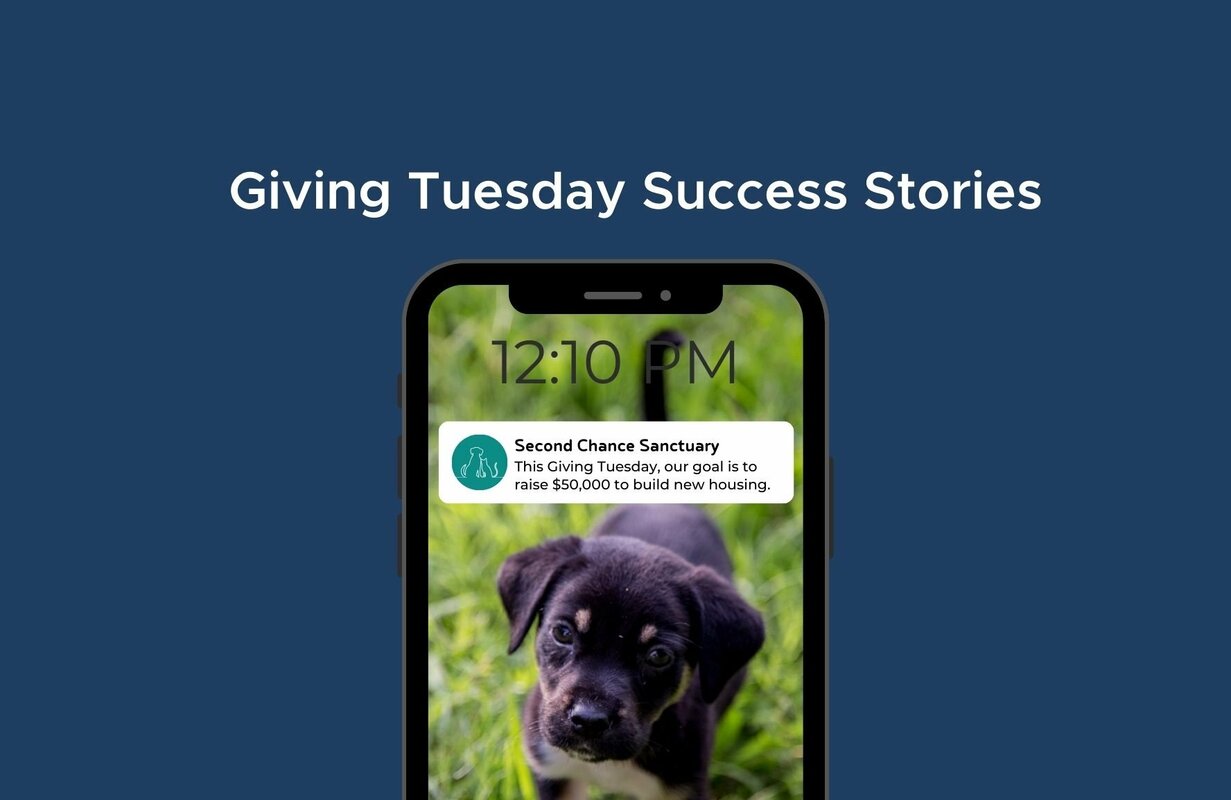 "Text Fundraising Success Stories: Nonprofits' Giving Tuesday Triumphs"