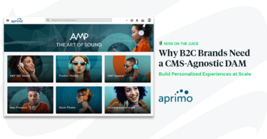 Guest Feature: Why B2C Brands Need a CMS-Agnostic DAM