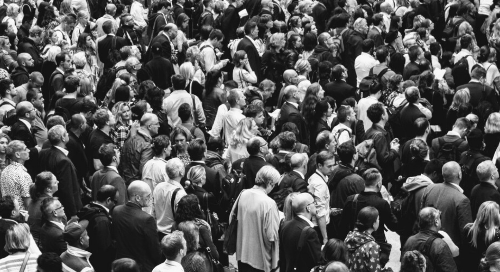 Optimizing Your Advertising in a Crowded Digital Landscape