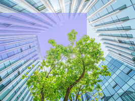 The Bank Branch of the Future: Consumers Prefer Hybrid Experiences