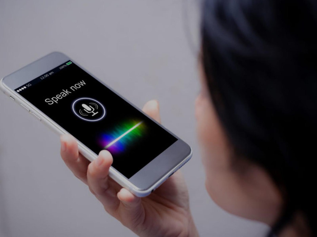 Voice Commerce in Online Business