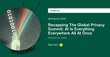 Recapping The Global Privacy Summit: AI Is Everything Everywhere All At Once