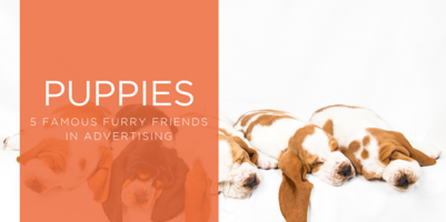 5 Famous Puppies in Advertising