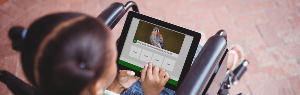 From A(rmy) to Z(oo): 4 Effective Branded Content Campaigns